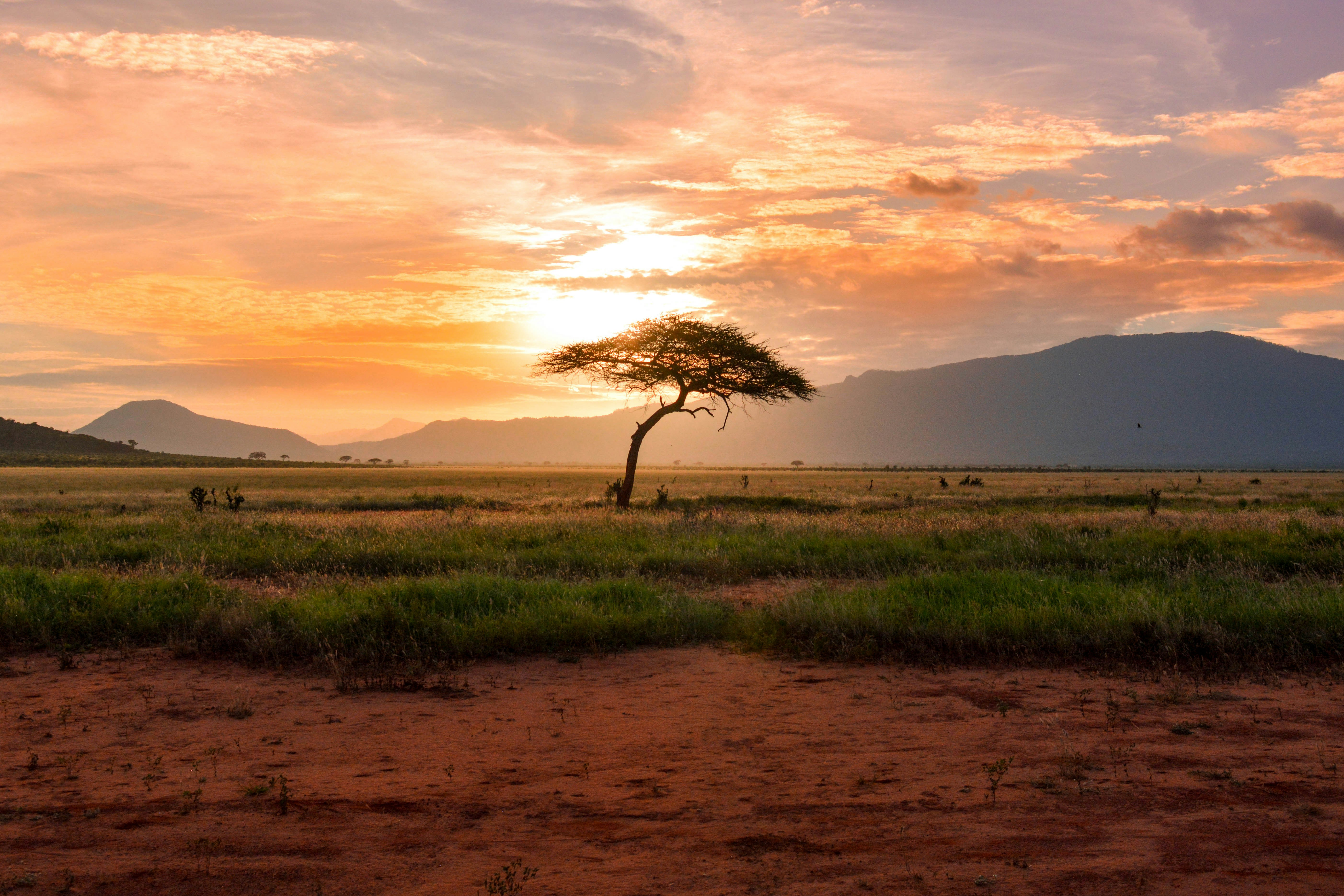 Vipingo Ridge-Tsavo National Park